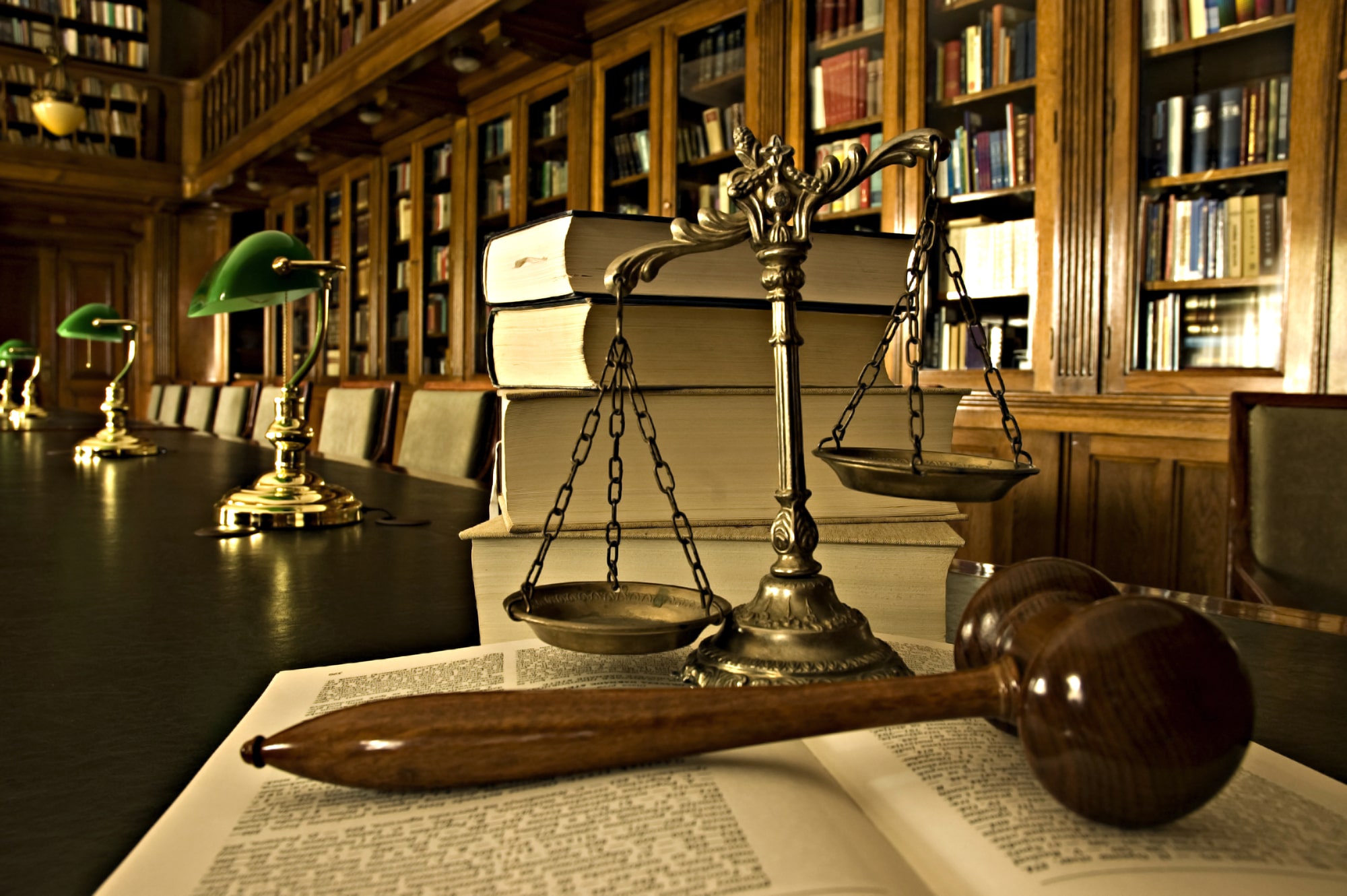 Expert Employment Lawyer