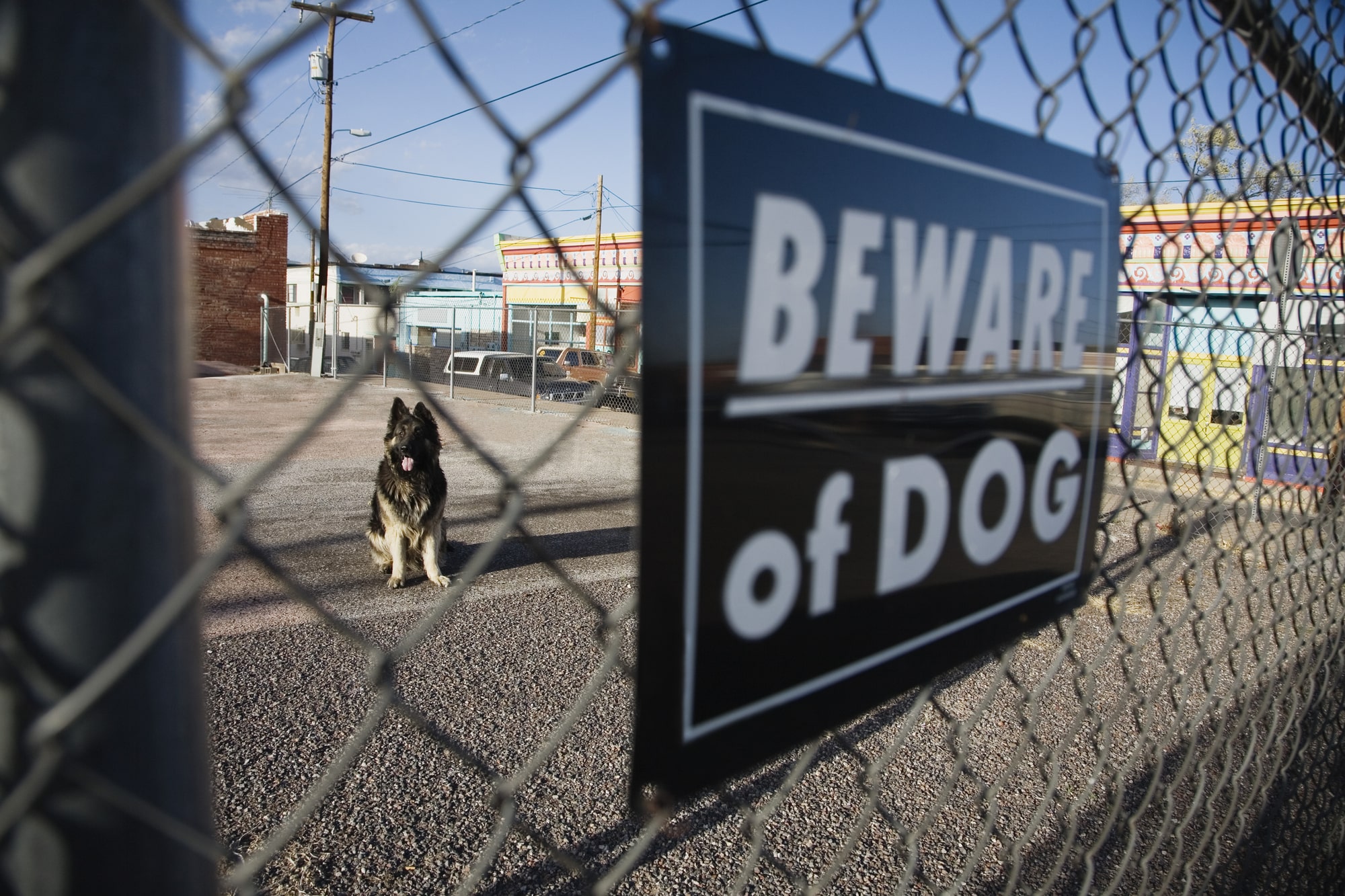 Dog Bite Lawyer Norwood, MA